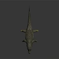 Realistic Aquatic Crocodile 3D Model with Open Mouth on Gray Background and Reflection