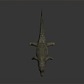 Modern Crocodile Alligator Nile Crocodile carnivore 3d model