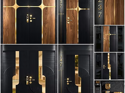 Contemporary Double Doors With Black Frame Wooden Panels And Golden Accents 3d model