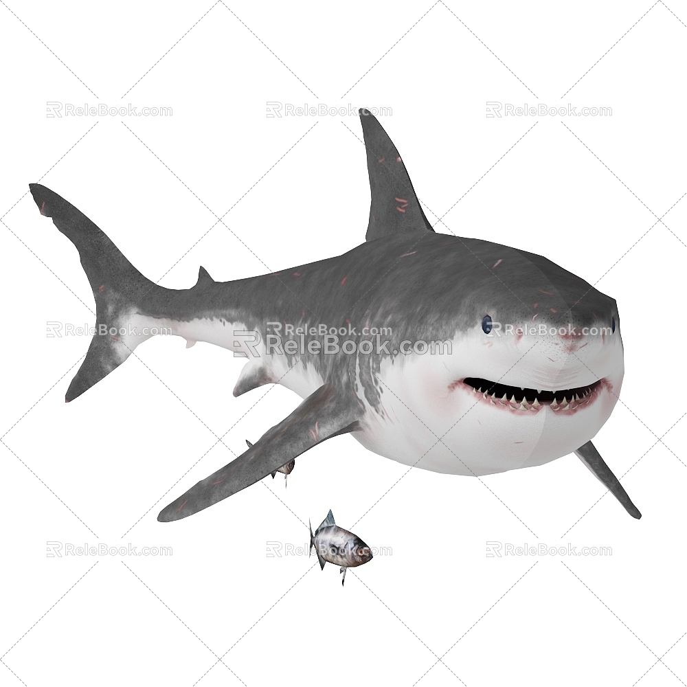 Modern Shark Great White Shark Bull Shark 3d model