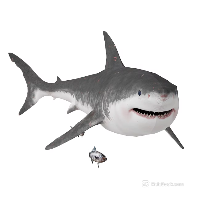 3D Rendering of Realistic Shark and Small Fish in Aquatic Marine Life 3d model 