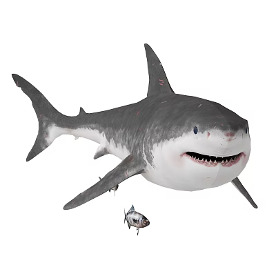 3D Rendering of Realistic Shark and Small Fish in Aquatic Marine Life 3d model 3D Rendering of Realistic Shark and Small Fish in Aquatic Marine Life 3d model