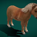 Isolated Brown Horse With White Mane Standing On Green Background 3d model