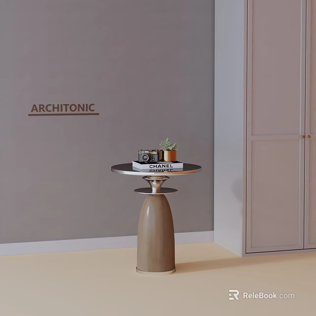 Modern Architonic Side Table with Round Top Conical Base and Camera Books Plant 3d model