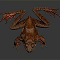 Vibrant Red Brown Reptile Featuring Blue Eyes Shiny Skin And Reflective Surface