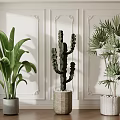 Indoor Potted Tropical Leaf Cactus Palm With Decorative Pots On White Paneled Walls Wooden Floor
