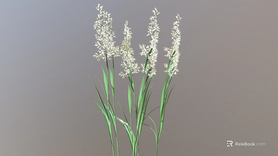 Fresh Herbaceous Plants With White Flowers Green Stems And Leaves 3d model 
