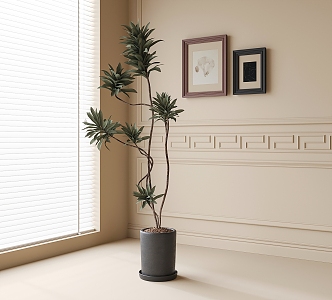 modern potted plant 3d model