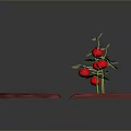 Red Square Planting Mats with Tomato Plants in Different Growth Stages