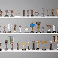 Trophies And Medals Display On White Shelves With Various Shapes And Metallic Colors