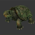 Detailed 3D Rendered Turtle With Green Textured Shell And Orange Head On Dark Background