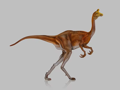 Reptile Dinosaur Model With Brown And Gray Color Standing Walking Pose 3d model