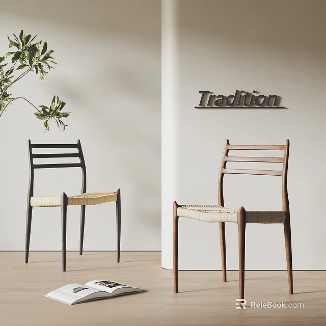 Two Modern Dining Chairs With Black And Brown Frames Woven Seats And Tradition Sign Near Green Plant 3d model 