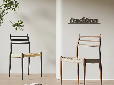 Two Modern Dining Chairs With Black And Brown Frames Woven Seats And Tradition Sign Near Green Plant 3d model