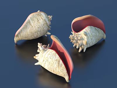 White and Red Conch Shell Decorative Ornament Set for Home Tabletop Decoration 3d model