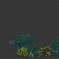 Diverse Collection Of Green Plants With Various Shapes Foliage And Sizes
