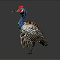 Colorful Bird with Red Crest Blue Neck Green Yellow Chest Spreading Wings Against Gray Background