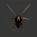 Realistic Wasp With Yellow And Black Body Large Eyes Transparent Wings On Dark Background
