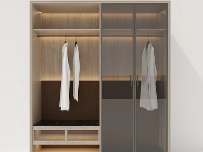 Modern Wooden Wardrobe Interior Design With Glass Doors Hanging Area And Lighting 3d model