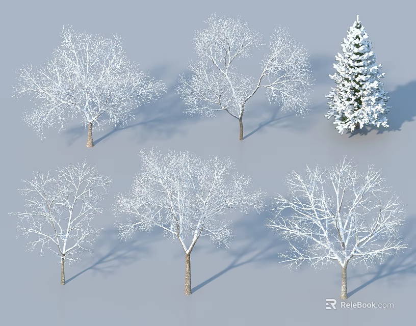 Snow Covered Deciduous Trees and Evergreen Tree in Winter Setting 3d model