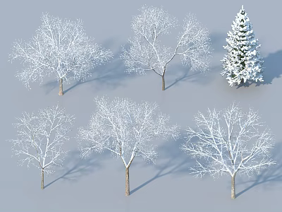 Snow Covered Deciduous Trees and Evergreen Tree in Winter Setting 3d model