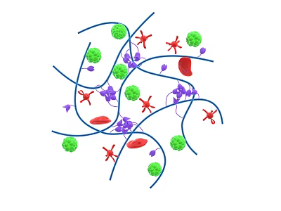 Microscopic View Of Immune Cells Interacting With Viruses And Other Cells 3d model