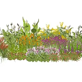 Colorful Garden Flowers And Various Plants With Lush Greenery And Mixed Blooms