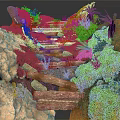 Scenic Natural Path With Wooden Steps Mossy Rocks And Lush Green Foliage