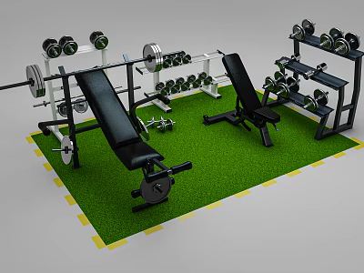 Complete Home Gym Fitness Equipment Including Weight Bench Dumbbells Barbells and Racks on Green Mat 3d model