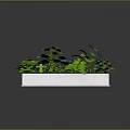 Lush Green Plants Growing In White Rectangular Planter With Gray Background And Reflective Surface
