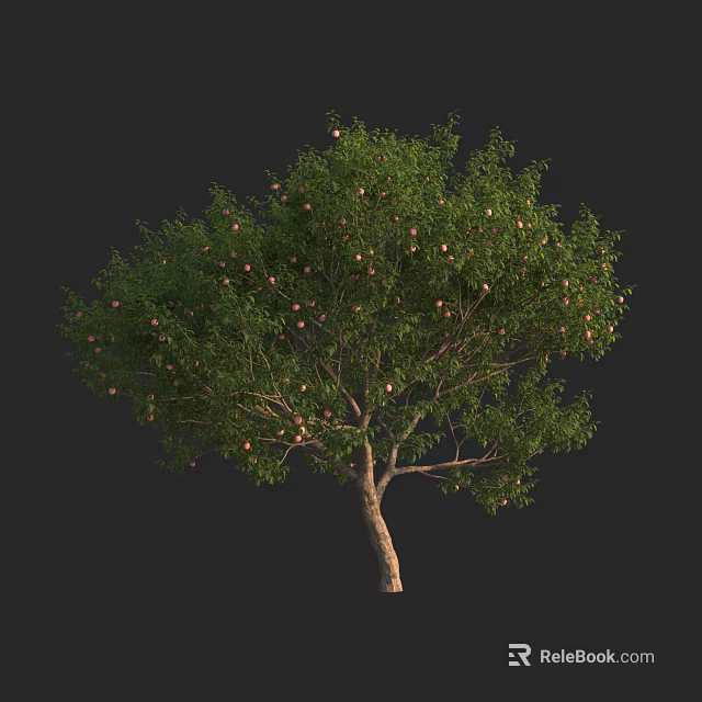 Lush Green Fruit Tree With Plentiful Ripe Fruits And Thick Trunk 3d model 