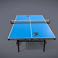 Portable Ping Pong Table Sports Equipment With Net Paddle And Ball