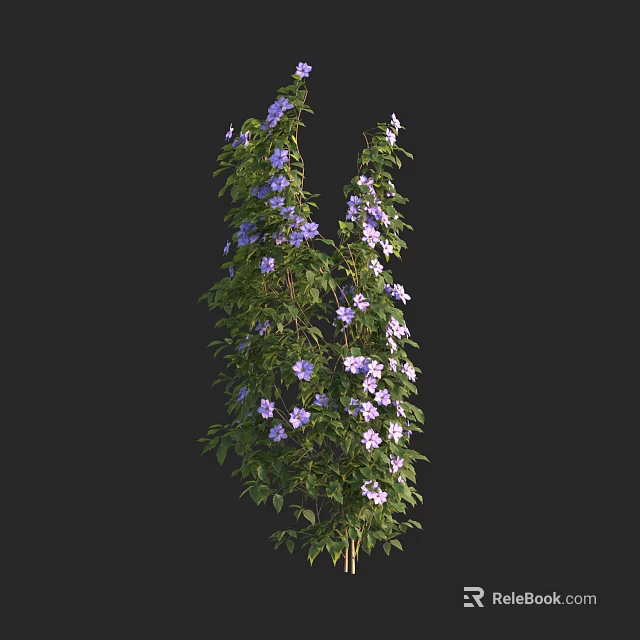 Lush Climbing Vine With Purple Flowers Green Leaves and Healthy Growth 3d model 