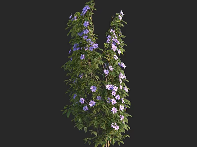 Lush Climbing Vine With Purple Flowers Green Leaves and Healthy Growth 3d model