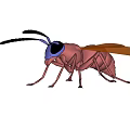 Pink Insect Shaped Doll with Blue Head Black Antennae and Brown Wings