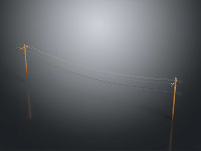 Wooden Utility Poles Supporting Overhead Power Lines On Gray Reflective Surface 3d model