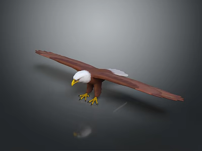 Bald Eagle Flying with Spread Wings Brown Feathers Yellow Claws Against Dark Background with Reflection 3d model