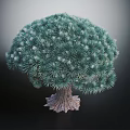 Lush Evergreen Pine Tree With Dense Green Foliage And Thick Brown Trunk