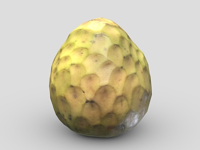 Sakyamuni Fruit Annona Fruit Tropical Fruit 3d model