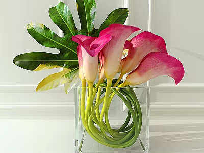 Bonsai Potted Plant With Pink Calla Lilies Green Leaves In Transparent Square Vase 3d model