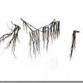 Elegant Modern Interior Decor With Decorative Branches And Long Hanging Roots 3d model