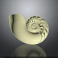 Nautilus Shell Exhibiting Intricate Spiral Structure And Creamy Yellow Color On Dark Background