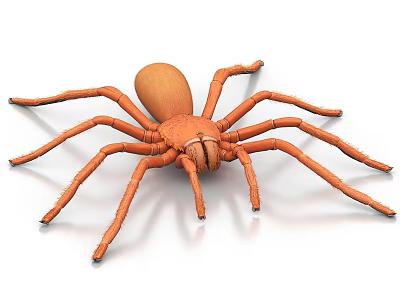 Orange Reptile With Long Legs Detailed Body Structure Isolated On White Background 3d model