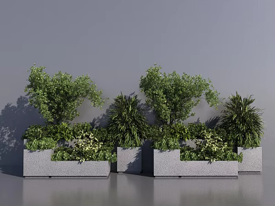 Bonsai Potted Plants in Gray Concrete Pots with Various Green Foliage and Lush Leaves 3d model