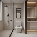 Modern Bathroom Interior With Shower Toilet Towel Rack Mirror And Vanity