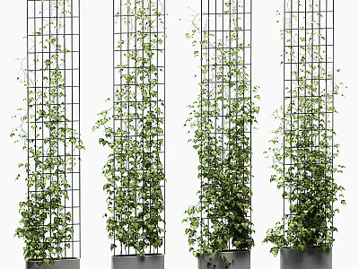 Lush Green Vines Climbing On Vertically Arranged Metal Grid Panels With Planters 3d model