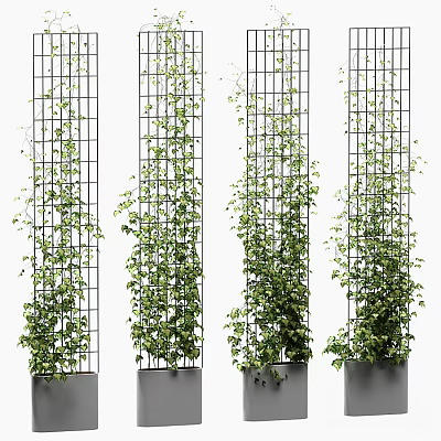 Lush Green Vines Climbing On Vertically Arranged Metal Grid Panels With Planters 3d model Lush Green Vines Climbing On Vertically Arranged Metal Grid Panels With Planters 3d model