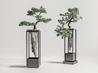 New Chinese Bonsai Pine Bonsai 3d model