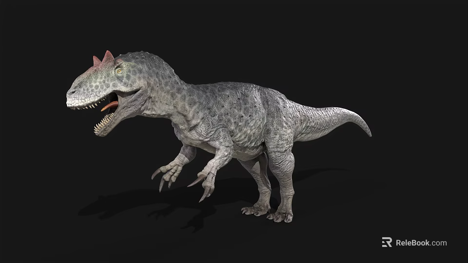 Realistic Dinosaur 3D Model With Gray Skin Red Head Horns Open Mouth And Black Background 3d model 
