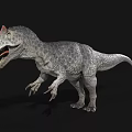 Realistic Dinosaur 3D Model With Gray Skin Red Head Horns Open Mouth And Black Background